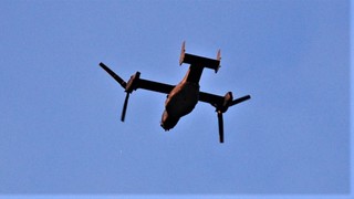 DSC_0323.JPG