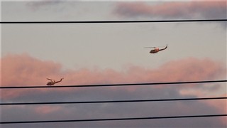 DSC_0328.JPG