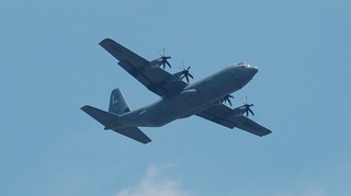 DSC_0336.JPG