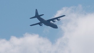 DSC_0337.JPG