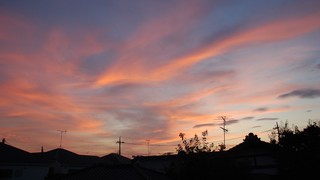 DSC_0337.JPG