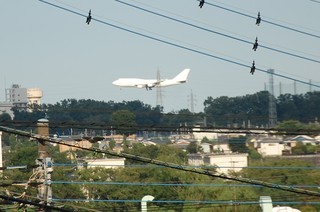 DSC_0339.JPG