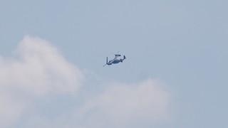 DSC_0342.JPG