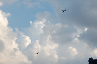 DSC_0342.JPG
