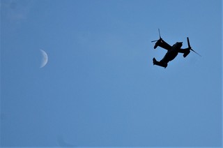 DSC_0343.JPG