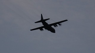 DSC_0344.JPG