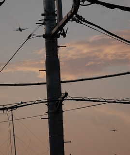 DSC_0345.JPG