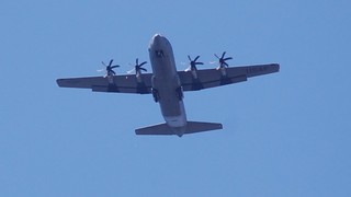 DSC_0356.JPG