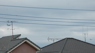 DSC_0375.JPG