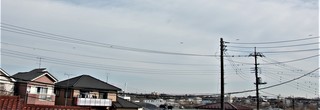 DSC_0383.JPG