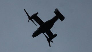 DSC_0386.JPG