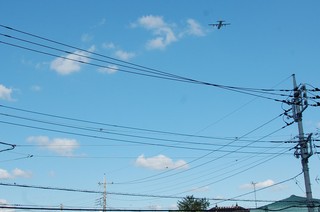 DSC_0390.JPG