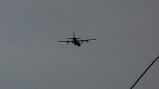 DSC_0393.JPG