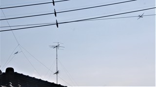 DSC_0414.JPG