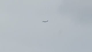 DSC_0696.JPG