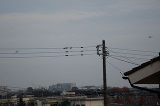 DSC_0720.JPG