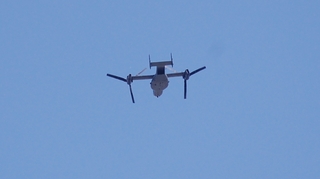 DSC_0824.JPG