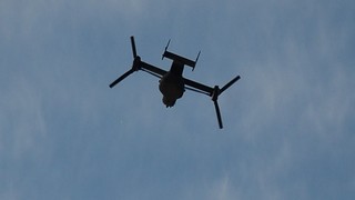 DSC_0885.JPG