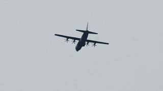 DSC_0906.JPG