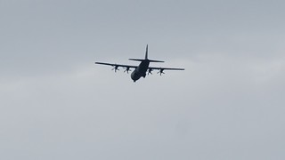 DSC_0921.JPG
