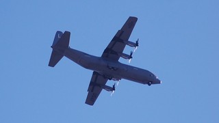 DSC_1062.JPG