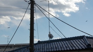 DSC_1072.JPG