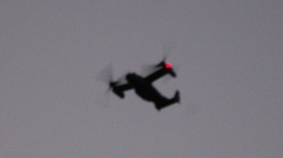 DSC_1084.JPG