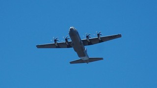 DSC_1095.JPG