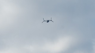 DSC_1100.JPG