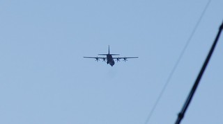 DSC_1111.JPG