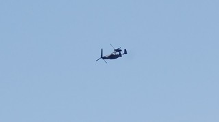 DSC_1116.JPG