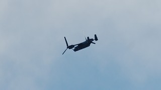 DSC_1128.JPG