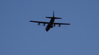 DSC_1133.JPG
