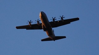 DSC_1136.JPG