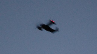 DSC_1138.JPG