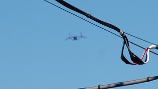 DSC_1145.JPG