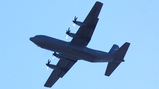 DSC_1150.JPG