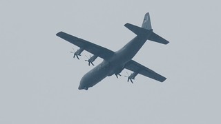 DSC_1184.JPG