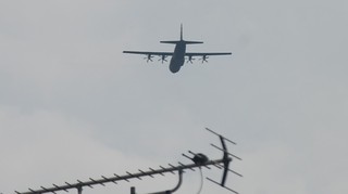 DSC_1194.JPG