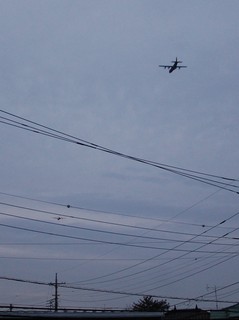 DSC_1198.JPG