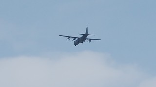 DSC_1204.JPG