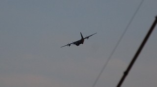 DSC_1237.JPG