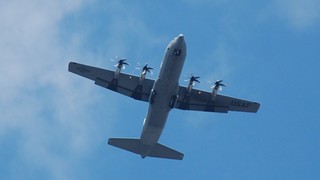 DSC_1247.JPG