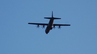 DSC_1253.JPG