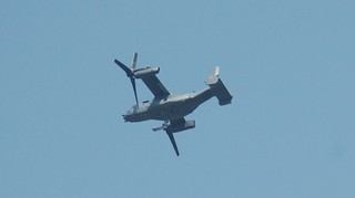 DSC_1276.JPG