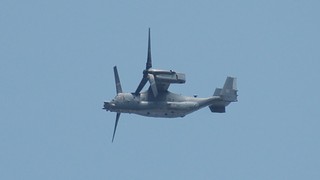DSC_1280.JPG