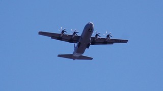 DSC_1288.JPG