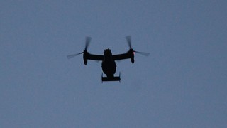 DSC_1307.JPG