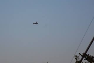 DSC_1894.JPG