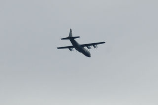 DSC_2359s.jpg